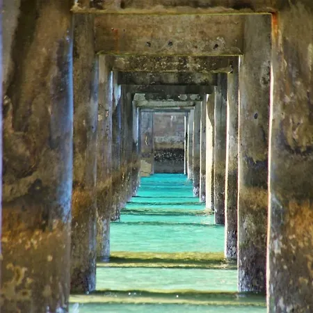 - Pedras Pretas House Apartmán Porto Santo