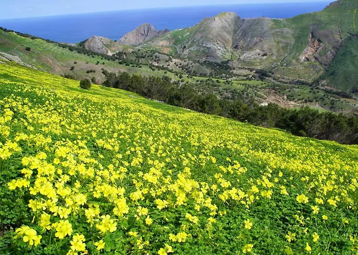 Apartmán - Pedras Pretas House *